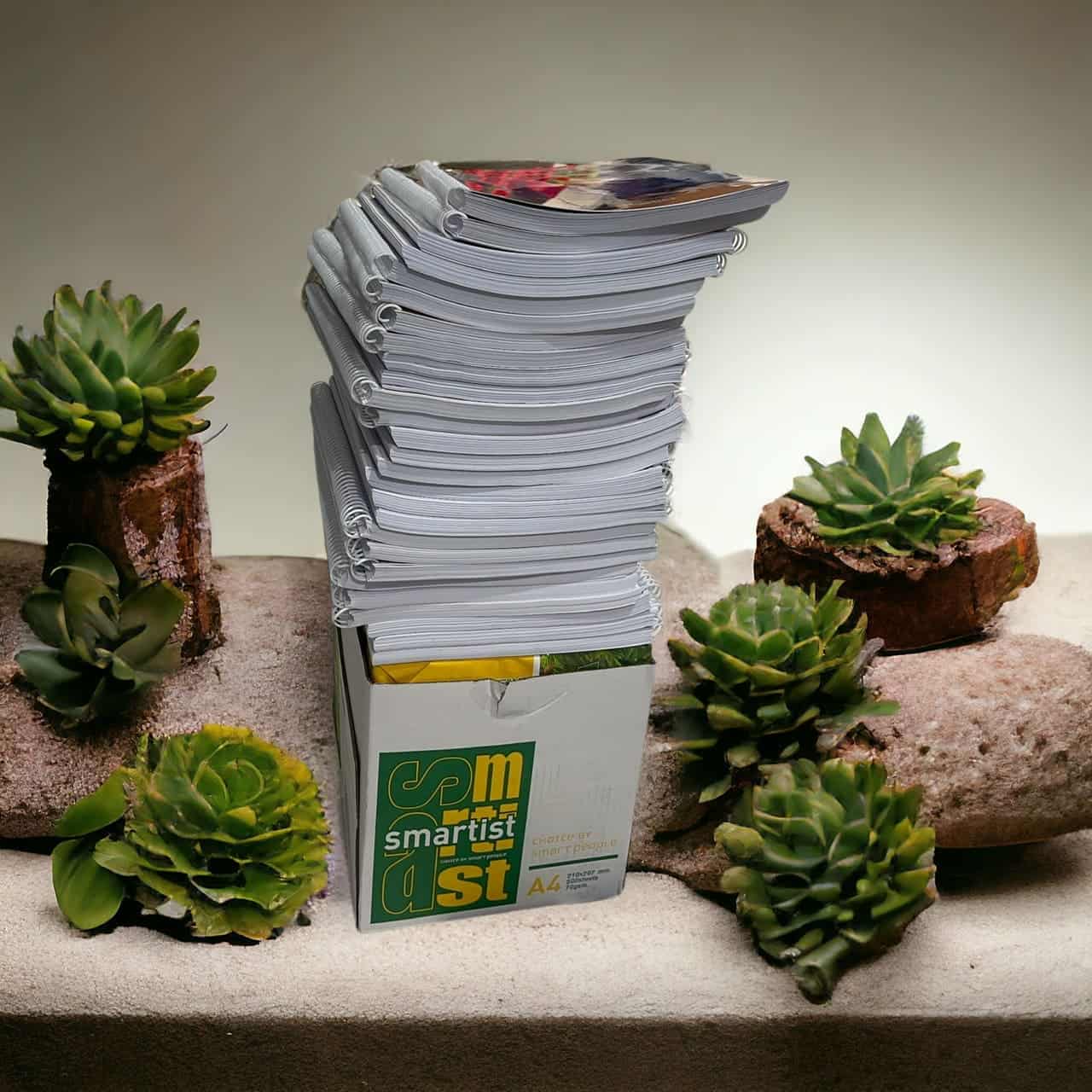 in-den-trang-dong-gay-xoan-gia-re