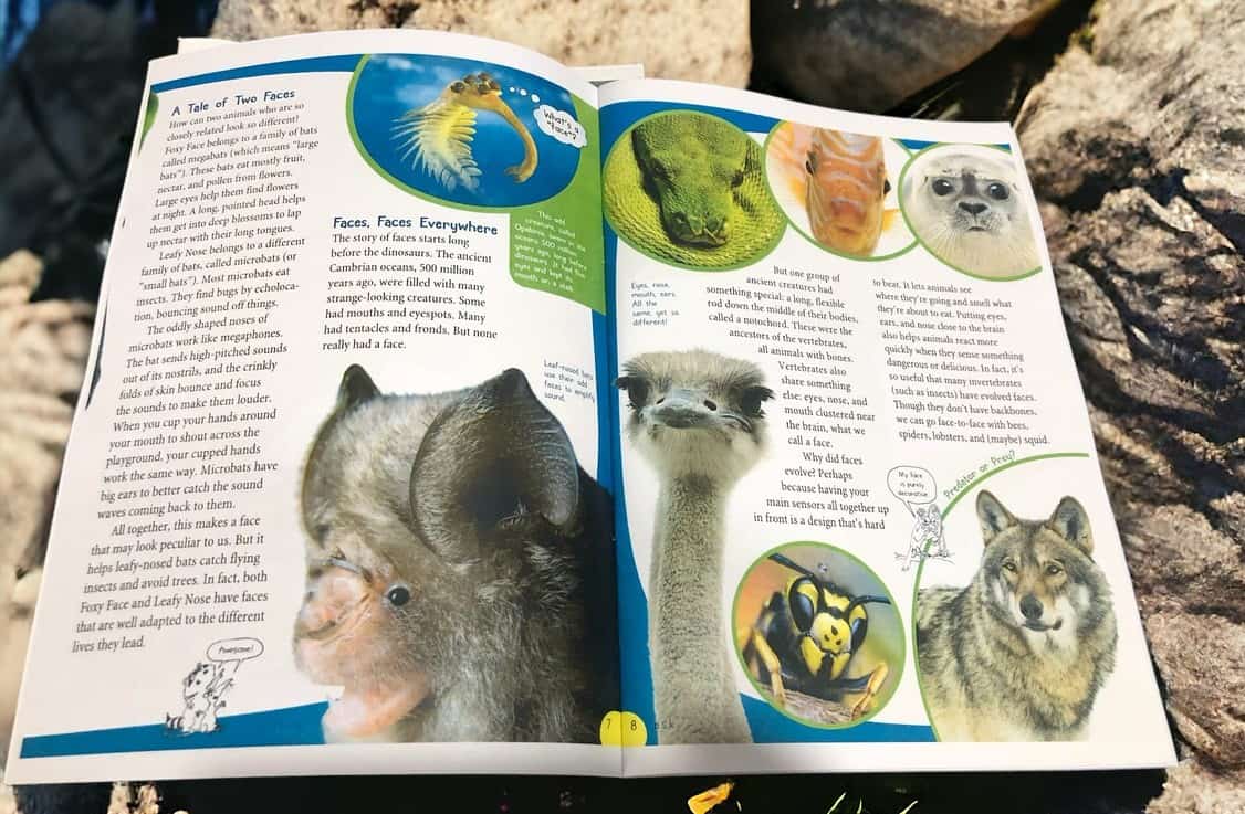 photocopy-mau-giay-op-70