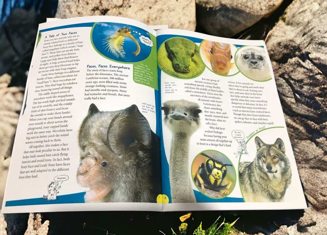 san-pham-in-mau-tren-giay-double-a-70